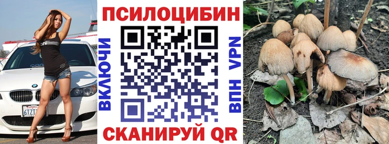 Псилоцибиновые грибы MAGIC MUSHROOMS  дарк нет как зайти  Арамиль 